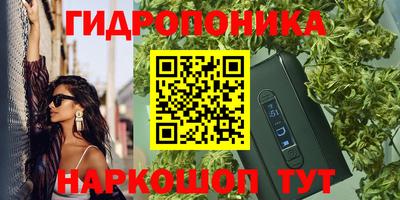 шишки Краснознаменск