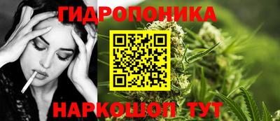 шишки Краснознаменск