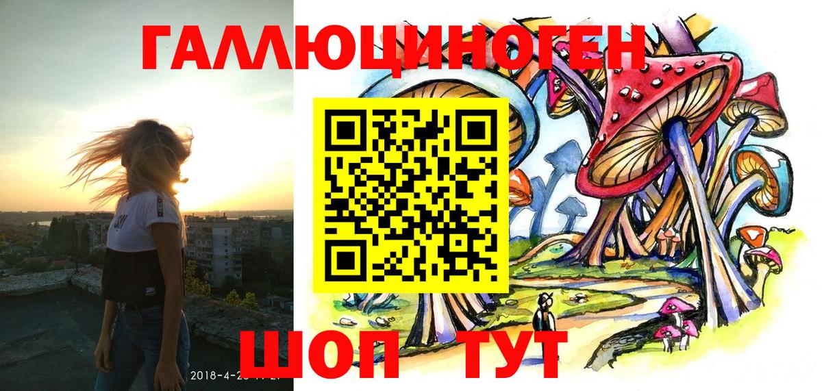 Кингисепп  Псилоцибиновые грибы MAGIC MUSHROOMS  Вход с VPN 